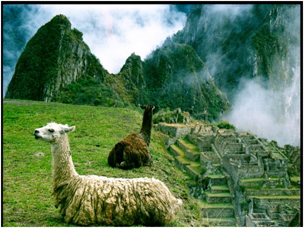 Macchu Picchu EN 3ra. DIMENSIÓN